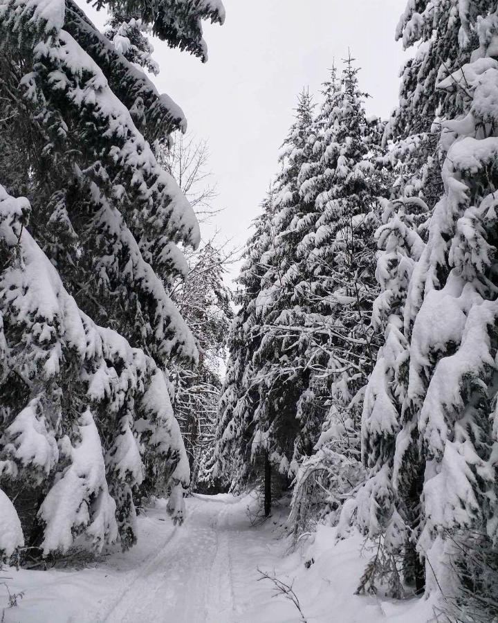 Dren - Banjska Stena Mitrovac Exterior foto